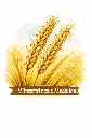 Wintertriticale Medalion.webp