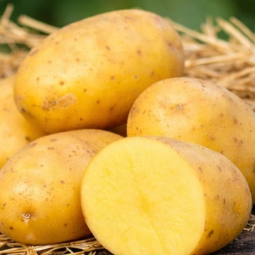 Anuschka (Abgesackt)