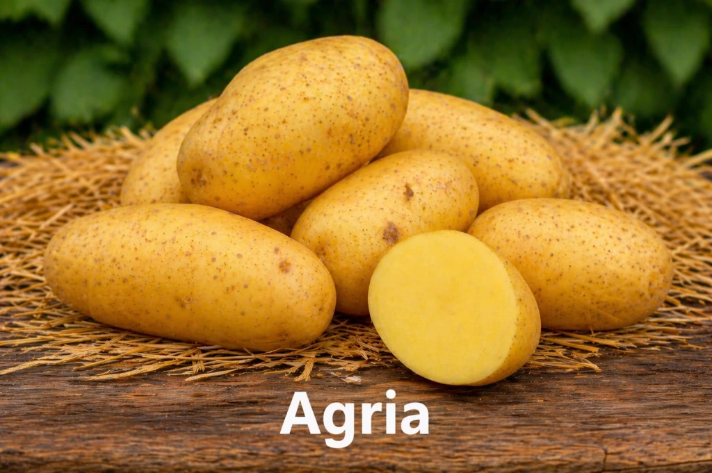 Agria Bio